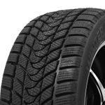 DELINTE WD1 205/60R16 96 H