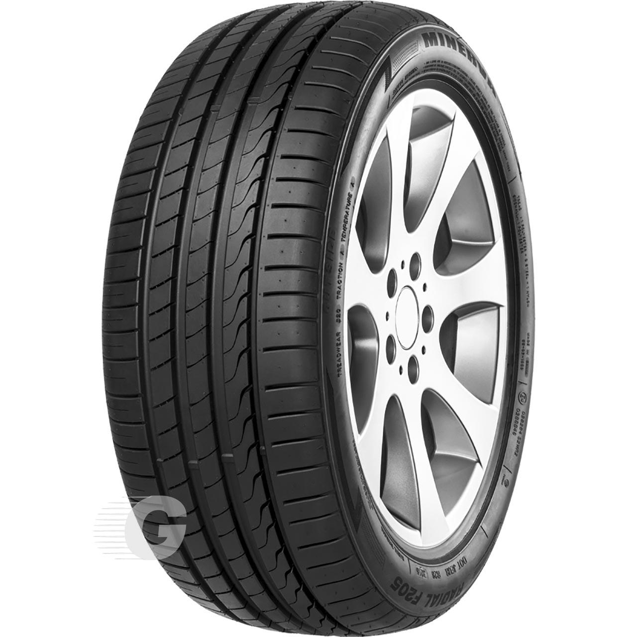 visuel MINERVA F 205 205/55R17 95 W n°2