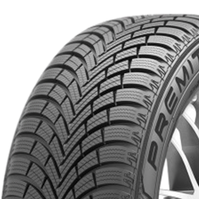 visuel MAXXIS Premitra Snow WP6 195/55R16 87 H n°2